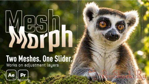 MeshMorph 1.4.0 (for After Effects & Premiere Pro)